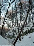 DSCN2669_g3r