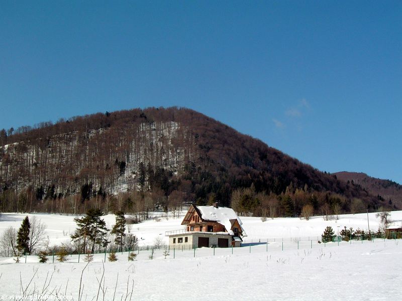 DSCN2836_g3r