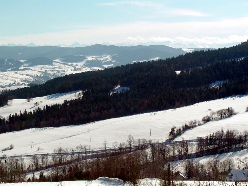 DSCN2886_g3r