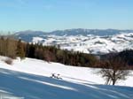 DSCN2896_g3r