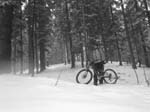 PICT6522_g3r