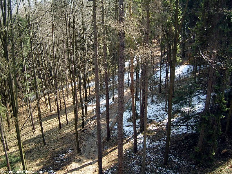 DSCN3077_g3r
