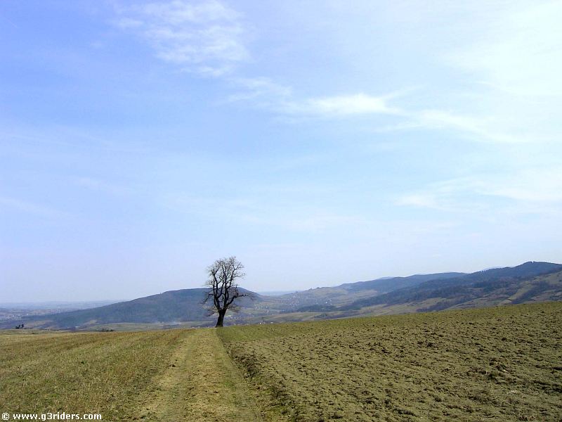 PICT6777_g3r
