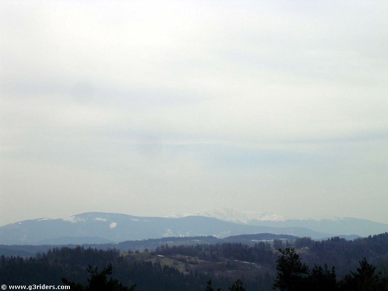 PICT6785_g3r
