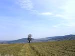 PICT6777_g3r
