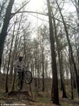 DSCN3102_g3r