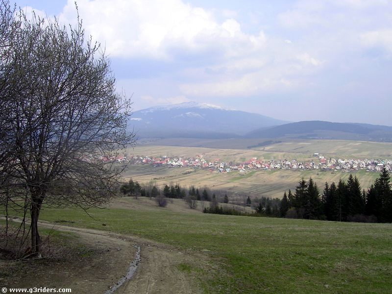 PICT6892_g3r