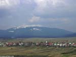 PICT6885_g3r