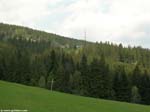 DSCN3262_g3r
