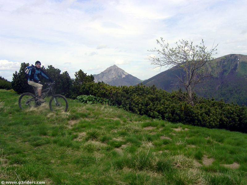 PICT7334_g3r
