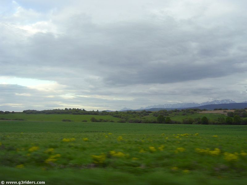 PICT7407_g3r