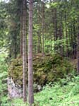 DSCN3391_g3r