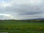 PICT7407_g3r