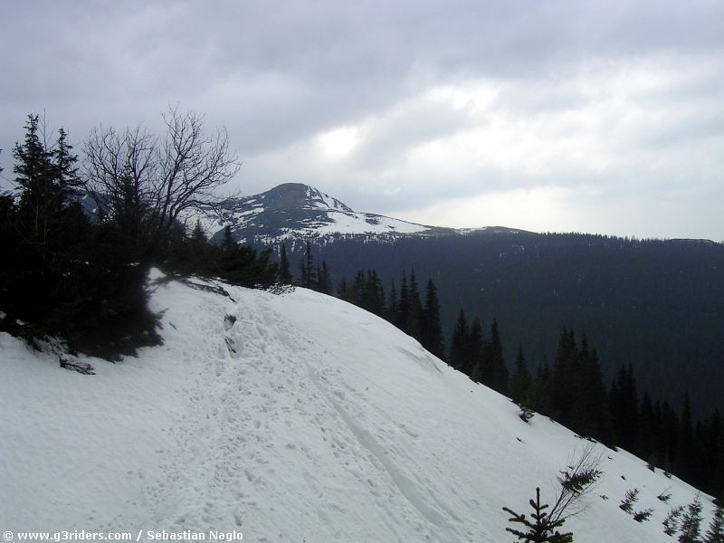 PICT6989_nfa2006
