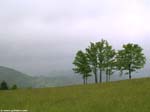 DSCN3534_g3r