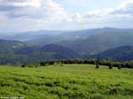 PICT7579_g3r