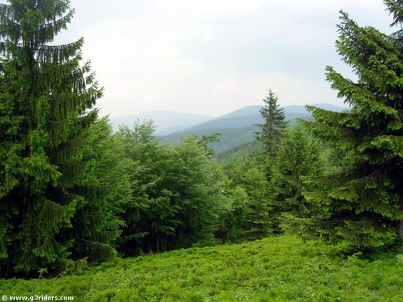 PICT7612_g3r