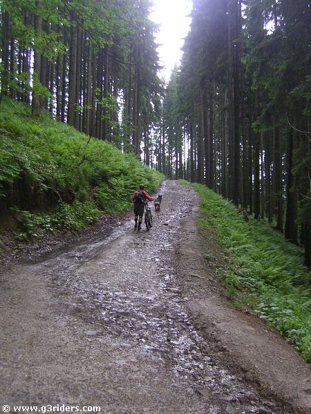 PICT7631_g3r