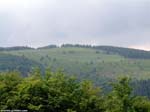 DSCF0033_g3r