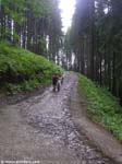 PICT7631_g3r