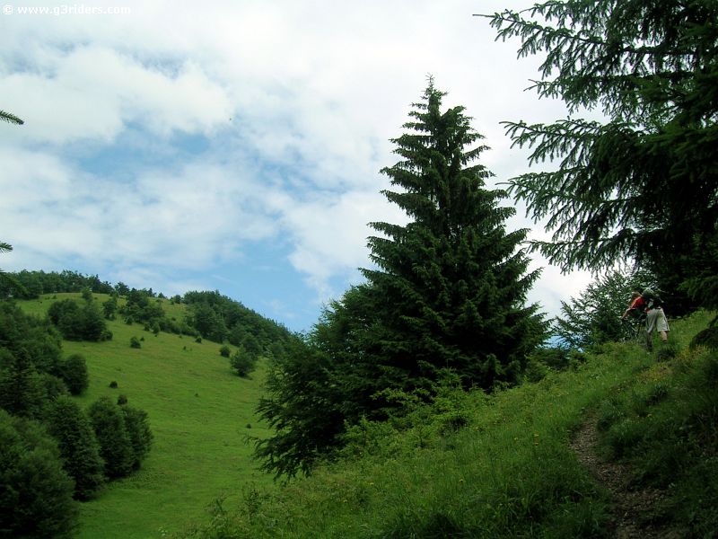 DSCN3785_g3r