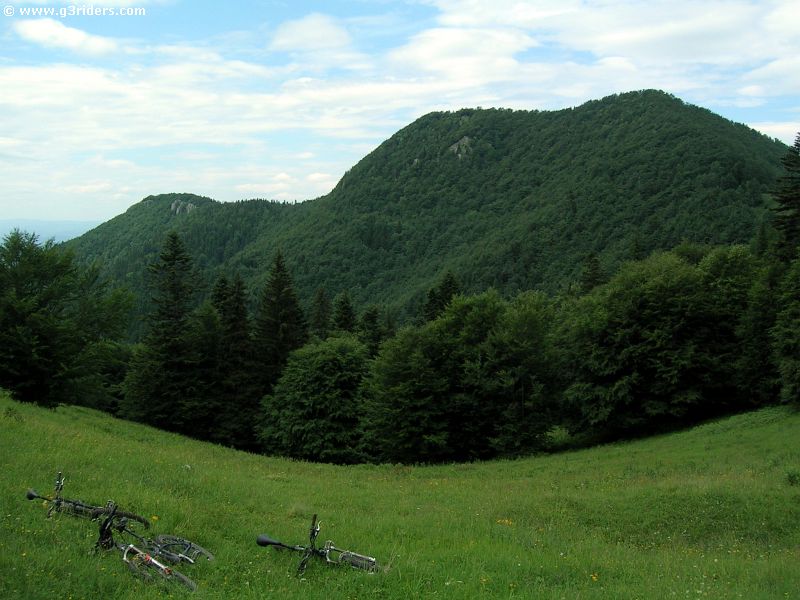 DSCN3790_g3r