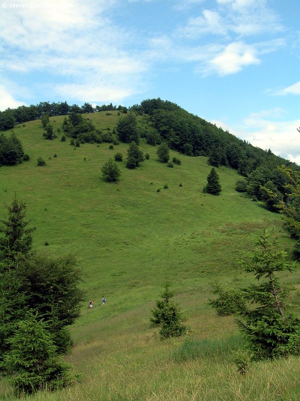 DSCN3801_g3r
