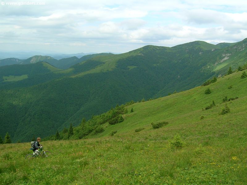DSCN3841_g3r