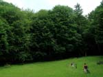 DSCN3770_g3r
