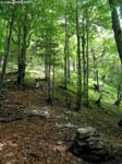DSCN3780_g3r