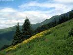 DSCN3823_g3r