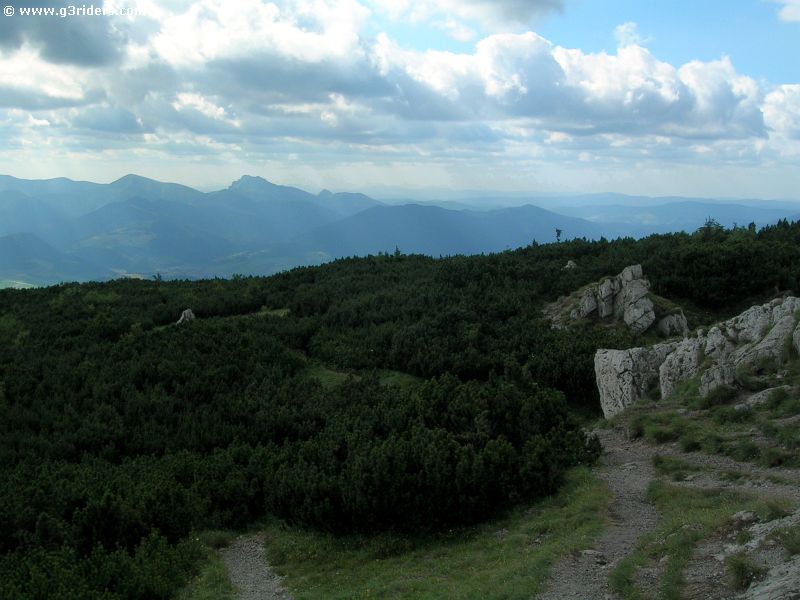 DSCN4214_g3r