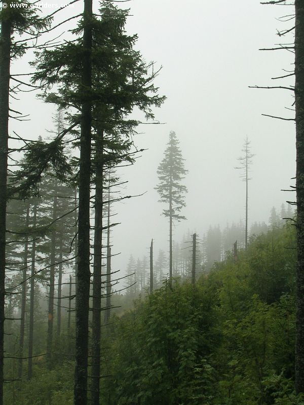 DSCN4572_g3r