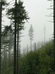 DSCN4572_g3r
