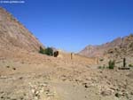 PICT8702_g3r