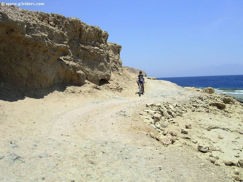 PICT8208_g3r