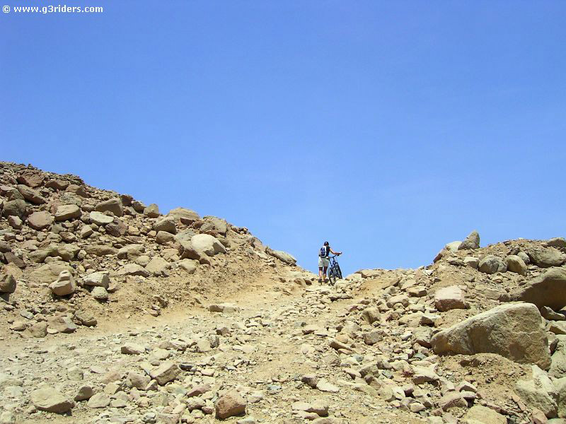 PICT8223_g3r