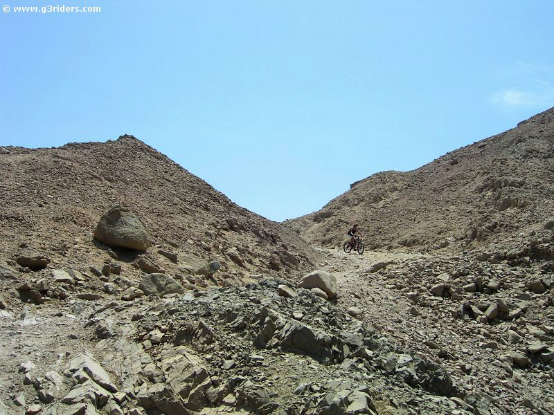 PICT8227_g3r
