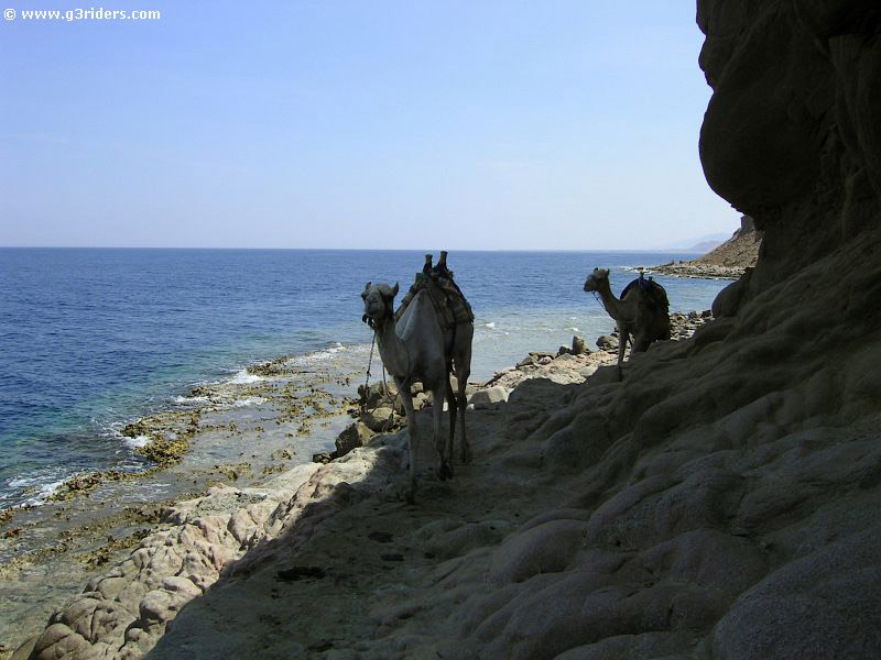 PICT8258_g3r