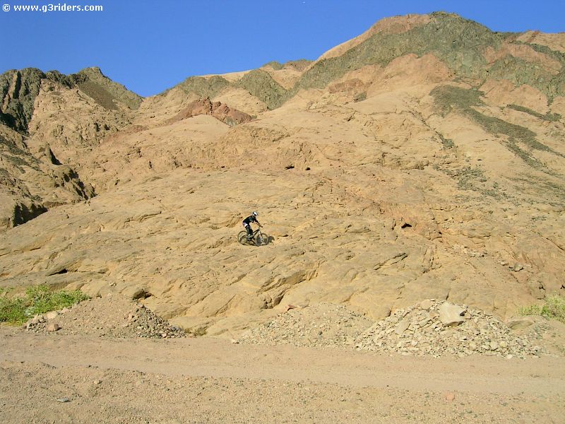 PICT8539_g3r