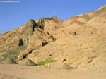 PICT8535_g3r