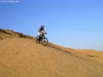 PICT8548_g3r