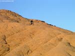PICT8549_g3r