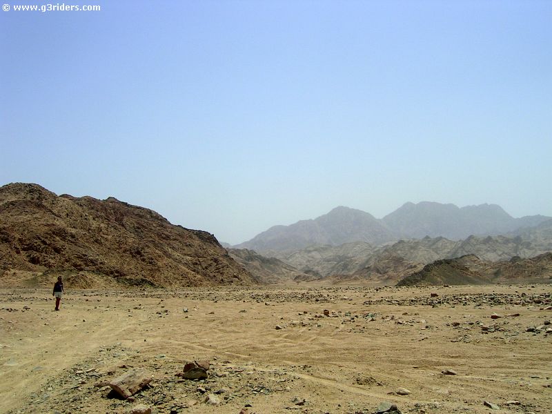 PICT8568_g3r