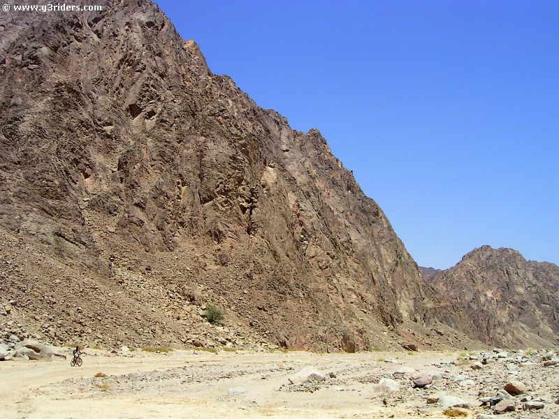 PICT8587_g3r
