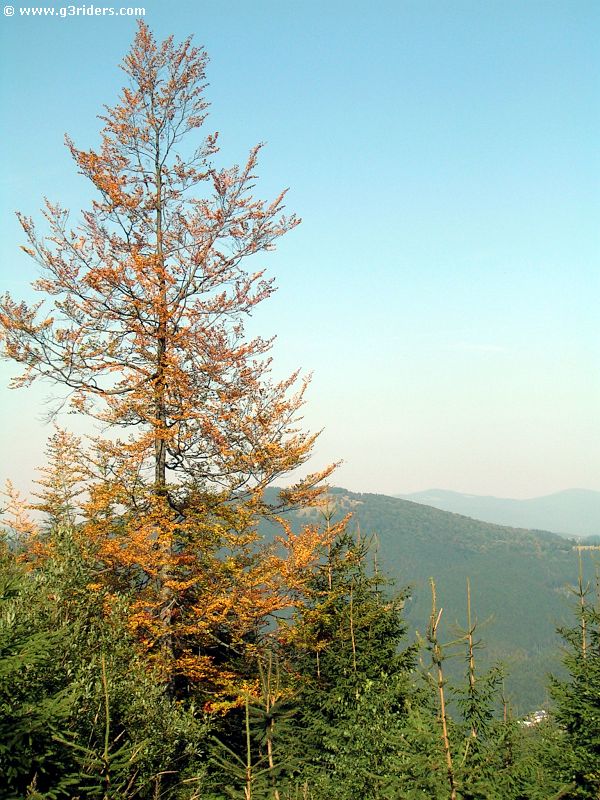 DSCN4964_g3r