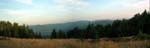 1skrzadnica-pano-1200px
