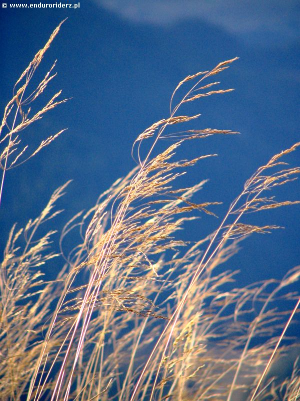 IMG_6764_g3r