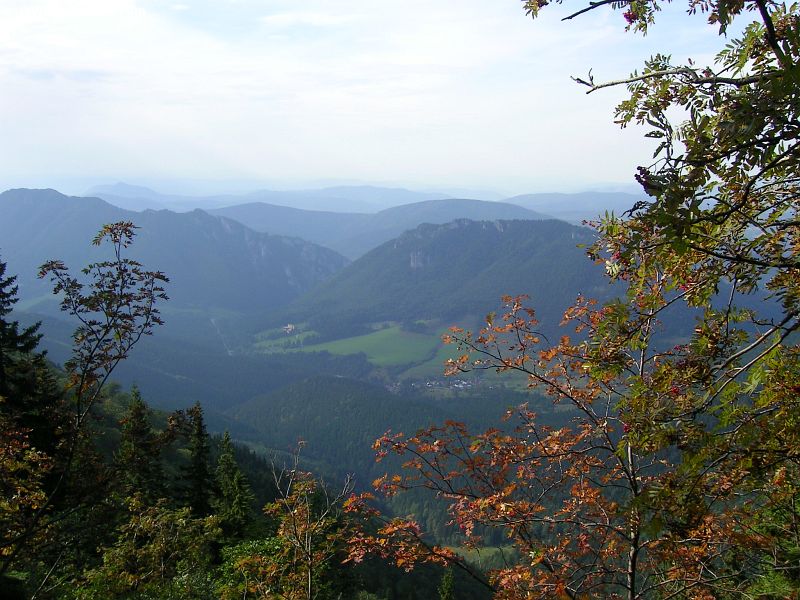 PICT8916_g3r