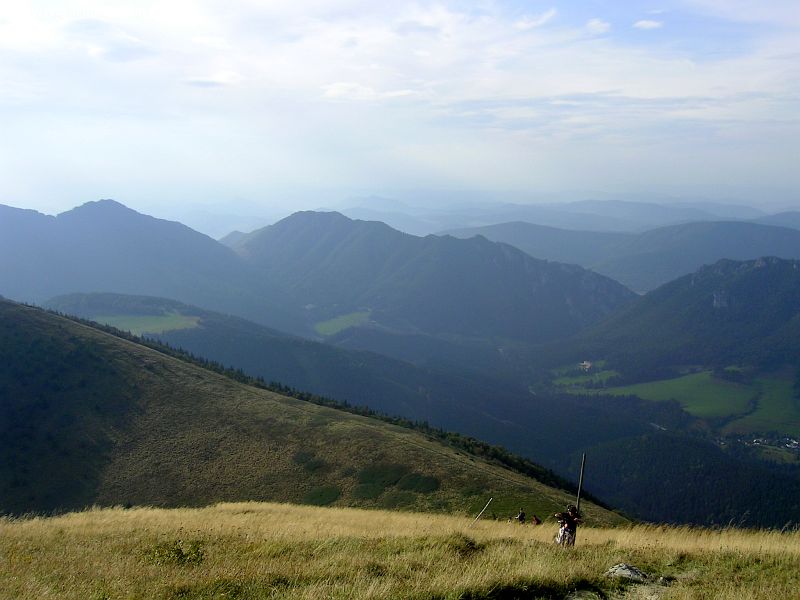 PICT8929_g3r